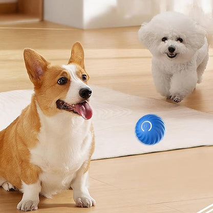 🐶 50% DE RÉDUCTION! ⚽ Balle automatique pour chien – Incassable & mouvement autonome ✨