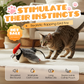 🐱 50% DE RÉDUCTION! 🎵 Jouet électrique en peluche pour chat – Sons, mouvement automatique & interactif – Stimule l'instinct de chasse et divertit votre félin ✨