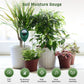 🌱 50% DE RÉDUCTION! 📏 Humidimètre de Sol Professionnel – Pour Plantes d'Intérieur & Extérieur, Mesure Précise & Facile à Utiliser 🌿
