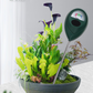 🌱 50% DE RÉDUCTION! 📏 Humidimètre de Sol Professionnel – Pour Plantes d'Intérieur & Extérieur, Mesure Précise & Facile à Utiliser 🌿