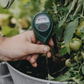 🌱 50% DE RÉDUCTION! 📏 Humidimètre de Sol Professionnel – Pour Plantes d'Intérieur & Extérieur, Mesure Précise & Facile à Utiliser 🌿