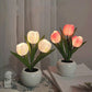 💡 50% DE RÉDUCTION! 🌷 Lampe de Table LED en Forme de Tulipe – Design Réaliste, Lumière Douce & Parfaite Pour La Chambre, Le Salon Ou En Cadeau 🎁
