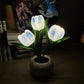 💡 60% DE RÉDUCTION ! 🌷 Lampe de Table LED en Forme de Tulipe – Décoration Réaliste, Lumière Douce & Parfaite pour Chambre / Cadeau ✨