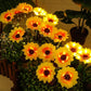 🌻 50% DE RÉDUCTION ☀️ Lampes solaires tournesol étanches – Pétales réalistes & IP65 – Allumage automatique, 8–12 h d’éclairage – parfaites pour le jardin ou la terrasse 🌿✨🏡