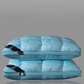 🛏️ 60% DE RÉDUCTION! 💤 Oreiller Ergonomique Qualité Hôtel – Taille Unique, Lavable, Imitation Duvet & Maintien Parfait Pour Un Sommeil Réparateur 😴