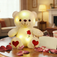 🧸 60% DE RÉDUCTION ! ✨ Ours en Peluche Doux et Lumineux avec Détails Brodés – Tissu Extrêmement Doux, Yeux Brodés & Câlin Parfait 🌙