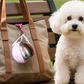 🐶 50% DE RÉDUCTION! 💧 Bouteille d'Eau Pliable pour Animaux – Acier inoxydable, anti-fuite & 287 ml – Idéale pour les promenades et randonnées 🌿