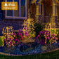 💡 ACHETEZ 2, OBTENEZ 1 GRATUIT! ☀️ Lumières Solaires de Jardin – Éclairage Décoratif, Étanche & Automatique Pour Une Ambiance Magique 🌿