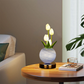 🌷 60% DE RÉDUCTION! 💡 Veilleuse Bouquet de Tulipes – Lueur douce, USB & design élégant – Parfaite pour chambre ou chambre de bébé 🌙