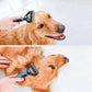 🐕 50% DE RÉDUCTION ⏫ Kit de toilettage 3-en-1 pour chiens et chats – Peigne, brosse & coupe-griffes – Idéal pour l’entretien à la maison – doux, efficace & sans stress pour l’animal 🐾