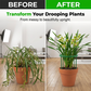 🌱 50% DE RÉDUCTION ! 🔗 Anneaux de Croissance Modulaires pour Plantes – Ajustables, réutilisables & parfaits pour tomates, fleurs ou plantes grimpantes 🍅