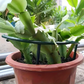 🌱 50% DE RÉDUCTION ! 🔗 Anneaux de Croissance Modulaires pour Plantes – Ajustables, réutilisables & parfaits pour tomates, fleurs ou plantes grimpantes 🍅