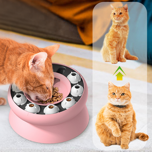 🐱 50% DE RÉDUCTION 🧩 Gamelle puzzle pour chats – Favorise une alimentation lente, réduit les vomissements & stimule l'esprit – Antidérapante & facile à nettoyer 🐾