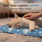 🐱 50% DE RÉDUCTION ☀️ Lit d'été imperméable & résistant pour animaux – Tissu frais & lavable – Confortable, antidérapant – idéal pour les journées chaudes à la maison ou en voyage 🐶🌊✨