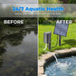 ☀️ 50% DE RÉDUCTION 🐟 Aérateur solaire pour bassin avec pompe à air – Kit complet & installation facile – Maintient la santé aquatique 24/7 – idéal pour étangs, bassins ou aquariums extérieurs ✨🌿