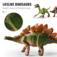 🦖 50% DE RÉDUCTION ⏰ Kit ludique et éducatif sur les dinosaures pour enfants – Fouille, assemble & apprends – Inclut fossiles, outils & fiches – parfait pour les petits paléontologues curieux 🦕