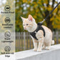 🐱 50% DE RÉDUCTION 🦮 Harnais en maille réfléchissante avec laisse – Léger, réglable & respirant – Idéal pour chats ou petits chiens – sécurité accrue lors des promenades nocturnes 🌙✨🐾