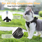 🐱 50% DE RÉDUCTION 🦮 Harnais en maille réfléchissante avec laisse – Léger, réglable & respirant – Idéal pour chats ou petits chiens – sécurité accrue lors des promenades nocturnes 🌙✨🐾