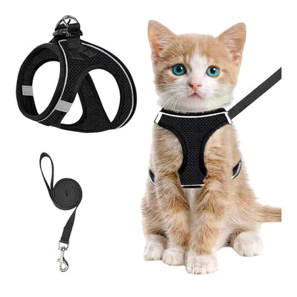 🐱 50% DE RÉDUCTION 🦮 Harnais en maille réfléchissante avec laisse – Léger, réglable & respirant – Idéal pour chats ou petits chiens – sécurité accrue lors des promenades nocturnes 🌙✨🐾