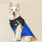 🐕 50% DE RÉDUCTION! ❄️ Manteau d'hiver pour chien – Imperméable & coupe‑vent ✨