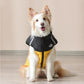 🐕 50% DE RÉDUCTION! ❄️ Manteau d'hiver pour chien – Imperméable & coupe‑vent ✨