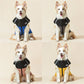 🐕 50% DE RÉDUCTION! ❄️ Manteau d'hiver pour chien – Imperméable & coupe‑vent ✨
