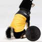 🐕 50% DE RÉDUCTION! ❄️ Manteau d'hiver pour chien – Imperméable & coupe‑vent ✨