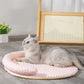 🐾 50% DE RÉDUCTION ❄️ Tapis de refroidissement doux & respirant – Amovible & lavable – Idéal pour les journées chaudes – confortable, antidérapant – parfait pour chiens et chats à l’intérieur ou en voyage 🌞🐶✨