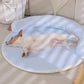 🐾 50% DE RÉDUCTION ❄️ Tapis de refroidissement doux & respirant – Amovible & lavable – Idéal pour les journées chaudes – confortable, antidérapant – parfait pour chiens et chats à l’intérieur ou en voyage 🌞🐶✨