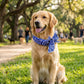 🐶 ACHETEZ 1, OBTENEZ 1 GRATUIT ! ❄️ Bandana rafraîchissant d’été pour animaux – Tissu Ice-Silk & sans électrocution – Garde votre chien ou chat au frais par fortes chaleurs – réutilisable, doux et facile à mettre 🐱💧✨