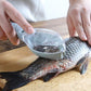 🐟 50% DE RÉDUCTION! 🔥 Écailleur à poisson – Portable & efficace ✨