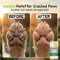 🐶 ACHETEZ 1, OBTENEZ 1 GRATUIT! 🧴 Crème hydratante pour pattes – Adoucit & protège les coussinets ✨