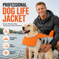 🐕 50% DE RÉDUCTION! 🦺 Gilet de Sauvetage pour Chien – Flotteur frontal amovible, poignée dorsale & anneau en D – Sécurité aquatique optimale pour votre compagnon 🌊