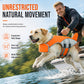 🐕 50% DE RÉDUCTION! 🦺 Gilet de Sauvetage pour Chien – Flotteur frontal amovible, poignée dorsale & anneau en D – Sécurité aquatique optimale pour votre compagnon 🌊
