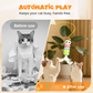 🐱 50% DE RÉDUCTION! 🎾 Jouet Automatique Rétractable pour Chat – Mouvement IR aléatoire, recharge USB & peluche – Divertissement mains libres pour votre félin ✨