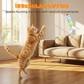 🐱 50% DE RÉDUCTION! 🎾 Jouet Automatique Rétractable pour Chat – Mouvement IR aléatoire, recharge USB & peluche – Divertissement mains libres pour votre félin ✨