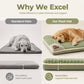 🐾 50% DE RÉDUCTION! 🛏️ Tapis de Couchage Premium en Peluche – Velours cristal, soutien ergonomique & bord oreiller – Confort douillet pour votre compagnon ☁️