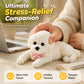 🧸 50% DE RÉDUCTION! 🐶 Nounours anti‑stress – Doux, compressible & réconfortant – Idéal pour le bureau 🌙