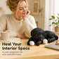 🧸 50% DE RÉDUCTION! 🐶 Nounours anti‑stress – Doux, compressible & réconfortant – Idéal pour le bureau 🌙