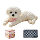 🧸 50% DE RÉDUCTION! 🐶 Nounours anti‑stress – Doux, compressible & réconfortant – Idéal pour le bureau 🌙