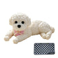 🧸 50% DE RÉDUCTION! 🐶 Nounours anti‑stress – Doux, compressible & réconfortant – Idéal pour le bureau 🌙