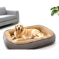 🛏️ 50% DE RÉDUCTION! 🐾 Lit pour animaux – Mousse de soutien & double texture respirante ✨
