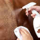 🧴 50% DE RÉDUCTION! 🚗 Spray nettoyant pour cuir – Sans rinçage, idéal pour canapés & sièges ✨