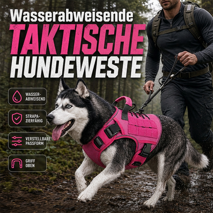 🐕 50% DE RÉDUCTION! 🦺 Harnais chien en Oxford – Durable, respirant & facile à ajuster ✨
