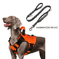 🐕 50% DE RÉDUCTION! 🦺 Harnais chien en Oxford – Durable, respirant & facile à ajuster ✨