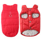 🐕 50% DE RÉDUCTION! 🧥 Manteau à capuche – Harnais intégré, chaud & coupe‑vent ✨