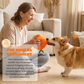 🧸 50% DE RÉDUCTION! 🍊 Jouet chien peluche orange – Cache-cache & interactif ✨