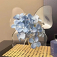 🦋 50% DE RÉDUCTION! 💐 Vase papillon transparent – Plastique cristallin & base stable ✨