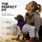 🐕 50% DE RÉDUCTION! 🌧️ Imperméable intégral pour animaux – Protège pattes & ventre ✨