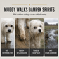 🐕 50% DE RÉDUCTION! 🌧️ Imperméable intégral pour animaux – Protège pattes & ventre ✨